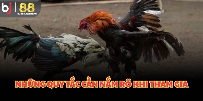 Những quy tắc cần nắm rõ khi tham gia