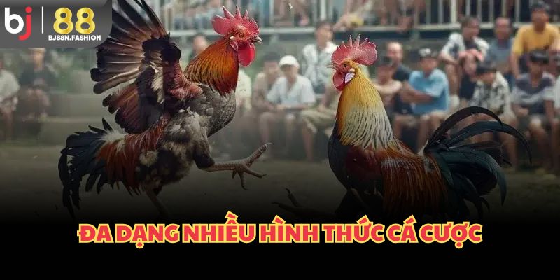 Đa dạng nhiều hình thức cá cược