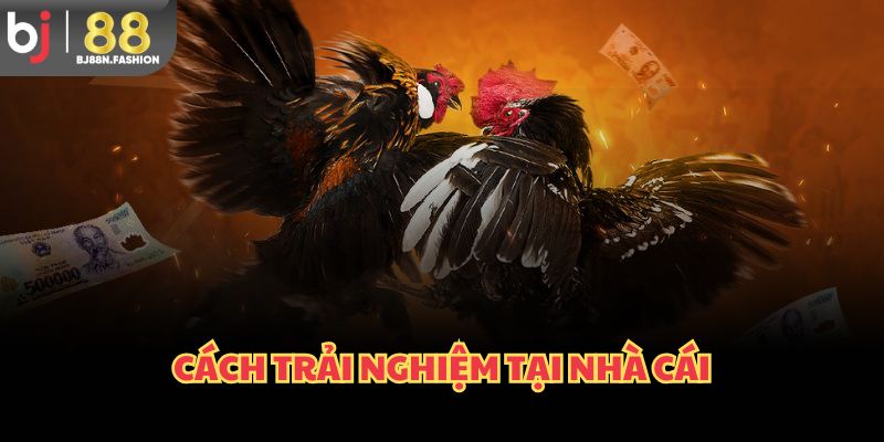 Cách trải nghiệm tại nhà cái